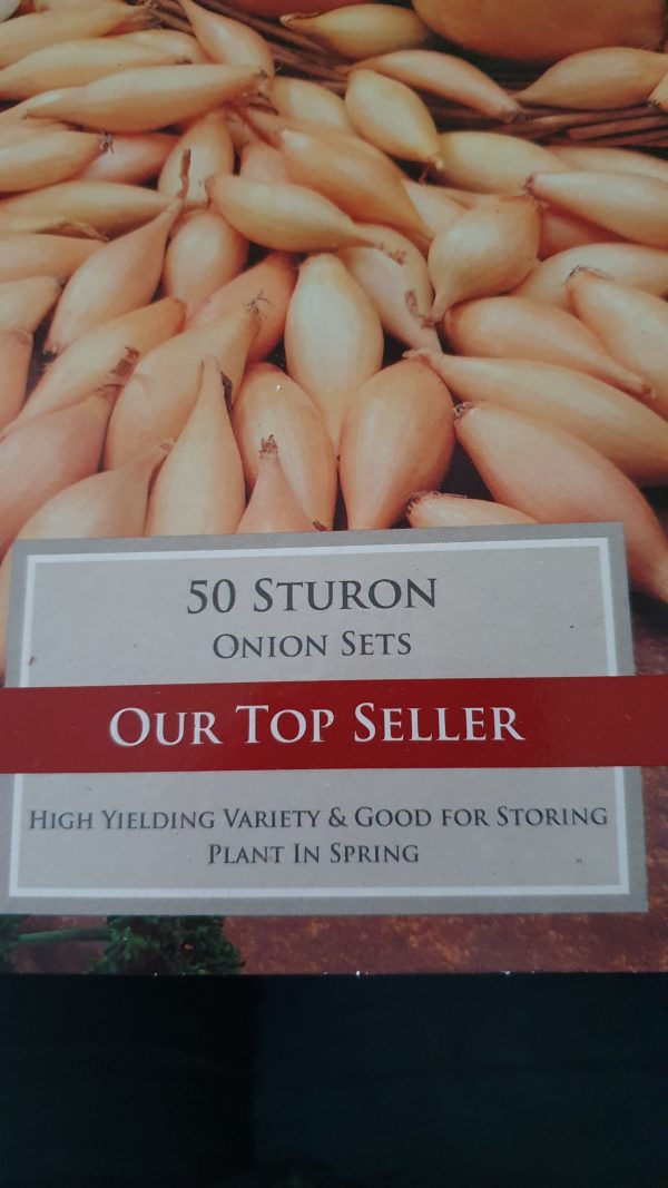 Sturon Onion Sets