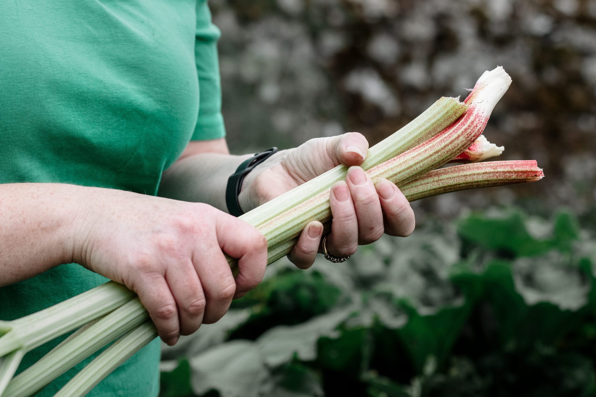 Grow your Own Food at Rockbarton