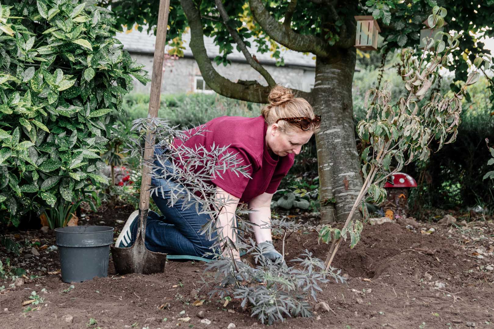 Planting a Tree in the Garden