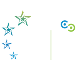 National Enterprise Awards 2019 logo